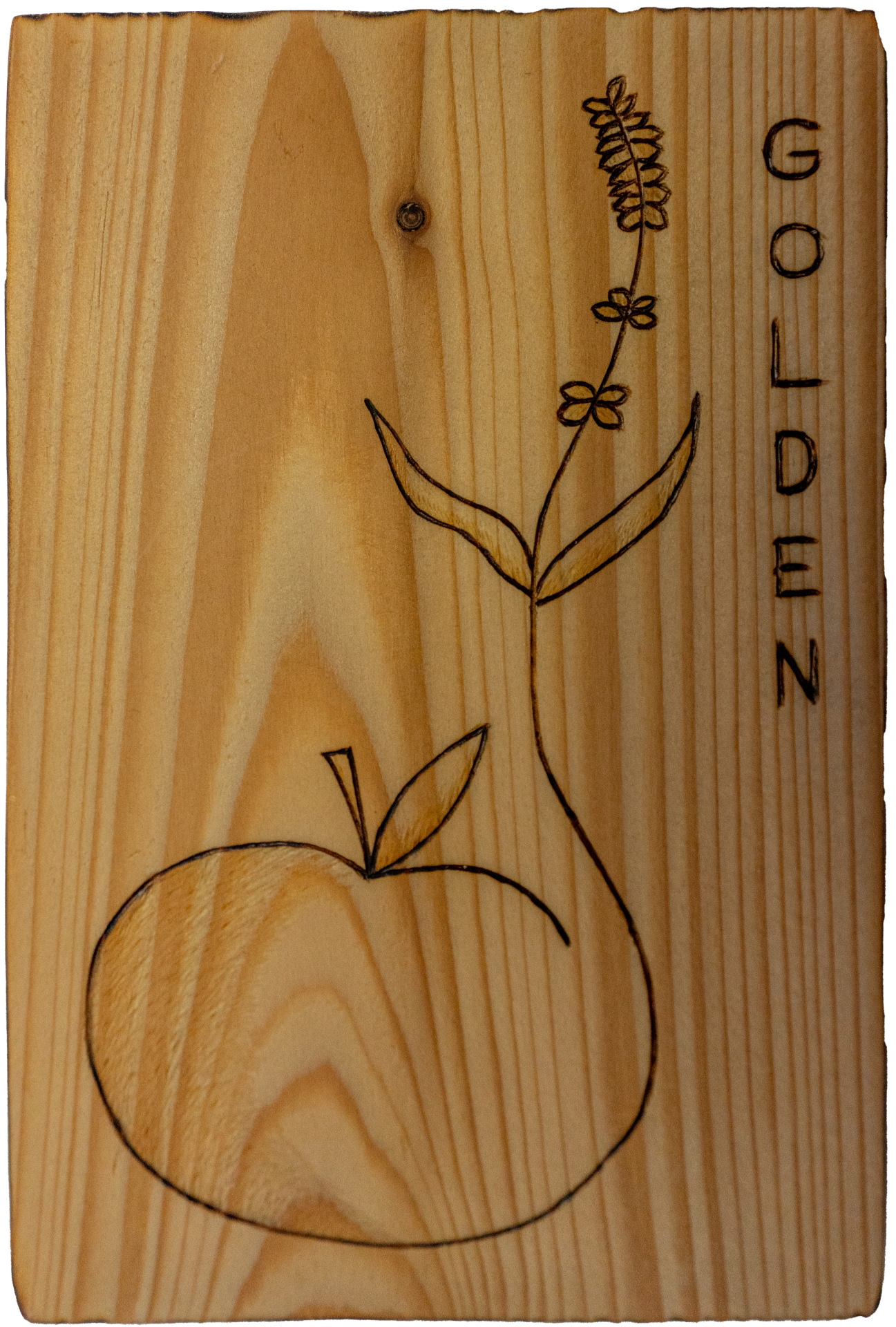 Golden — Tripla